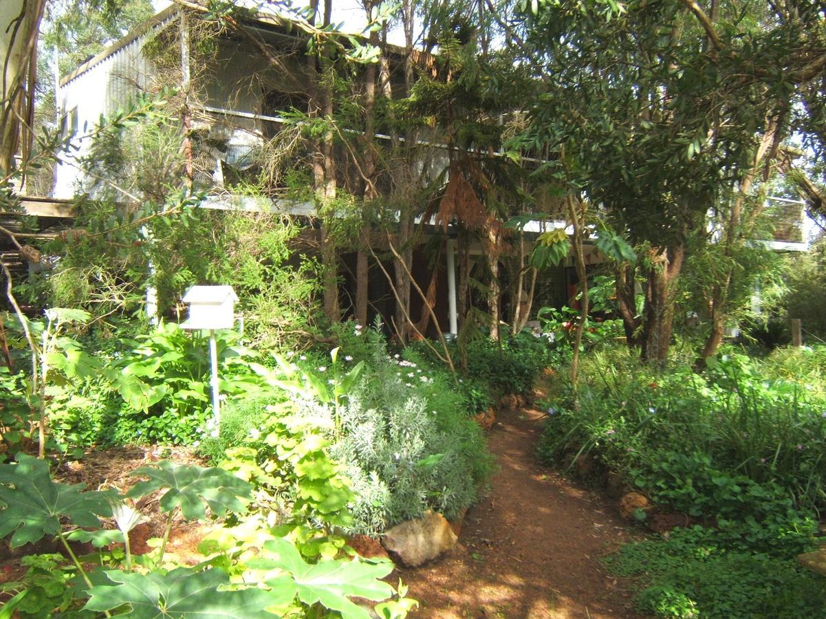 Whispering Pines Bed And Breakfast Collie Εξωτερικό φωτογραφία